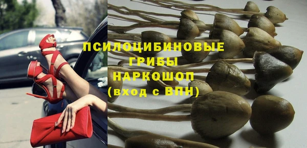 apvp Аркадак