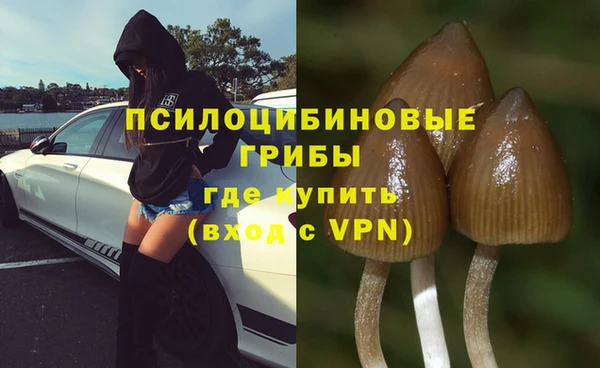 соль курить ск Арсеньев