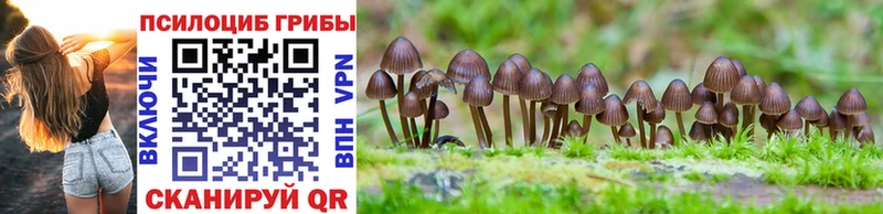 Псилоцибиновые грибы MAGIC MUSHROOMS Рудня